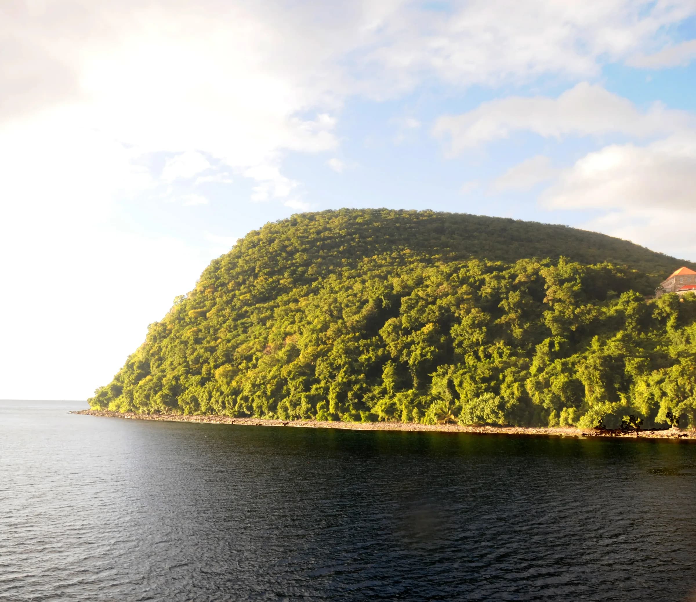 An Egyptian Family in Dominica