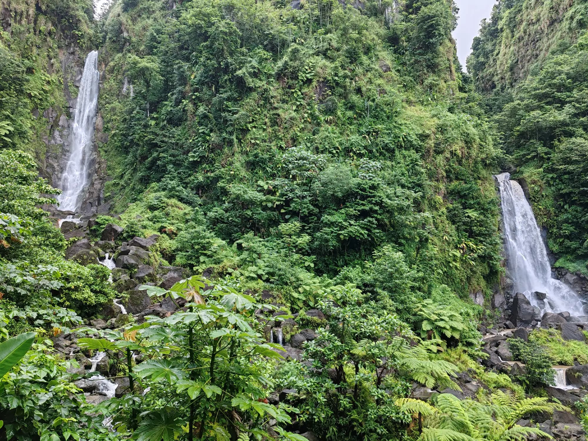 An Egyptian Family in Dominica — Why this, and what was rejected
